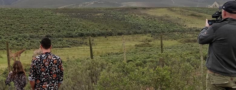South Africa Fixer