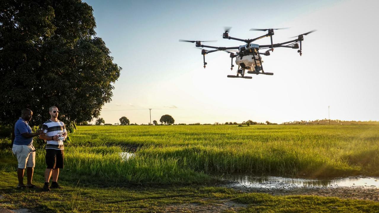 DJI Anti-Malaria Drone