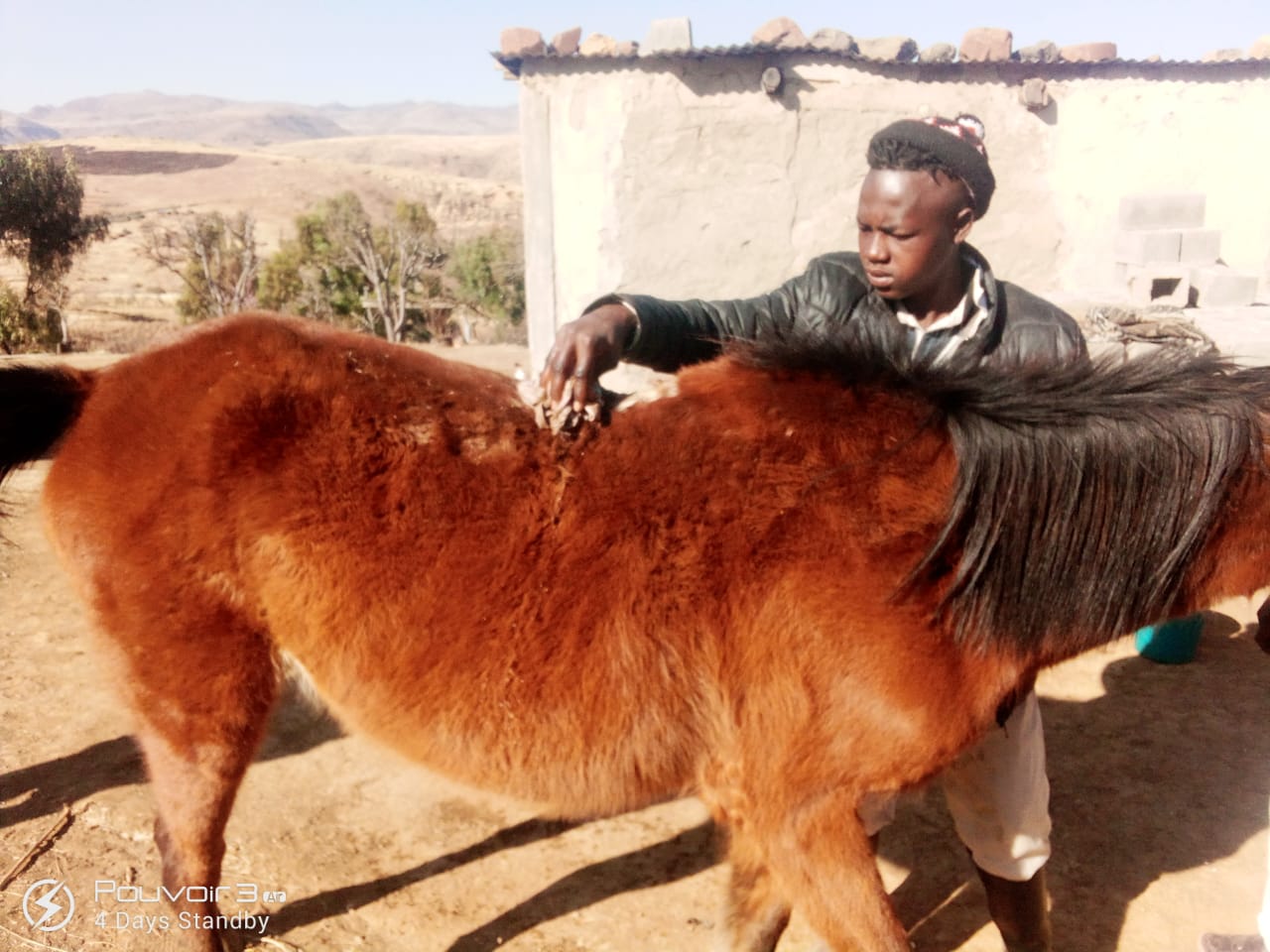 Location Lesotho fixer