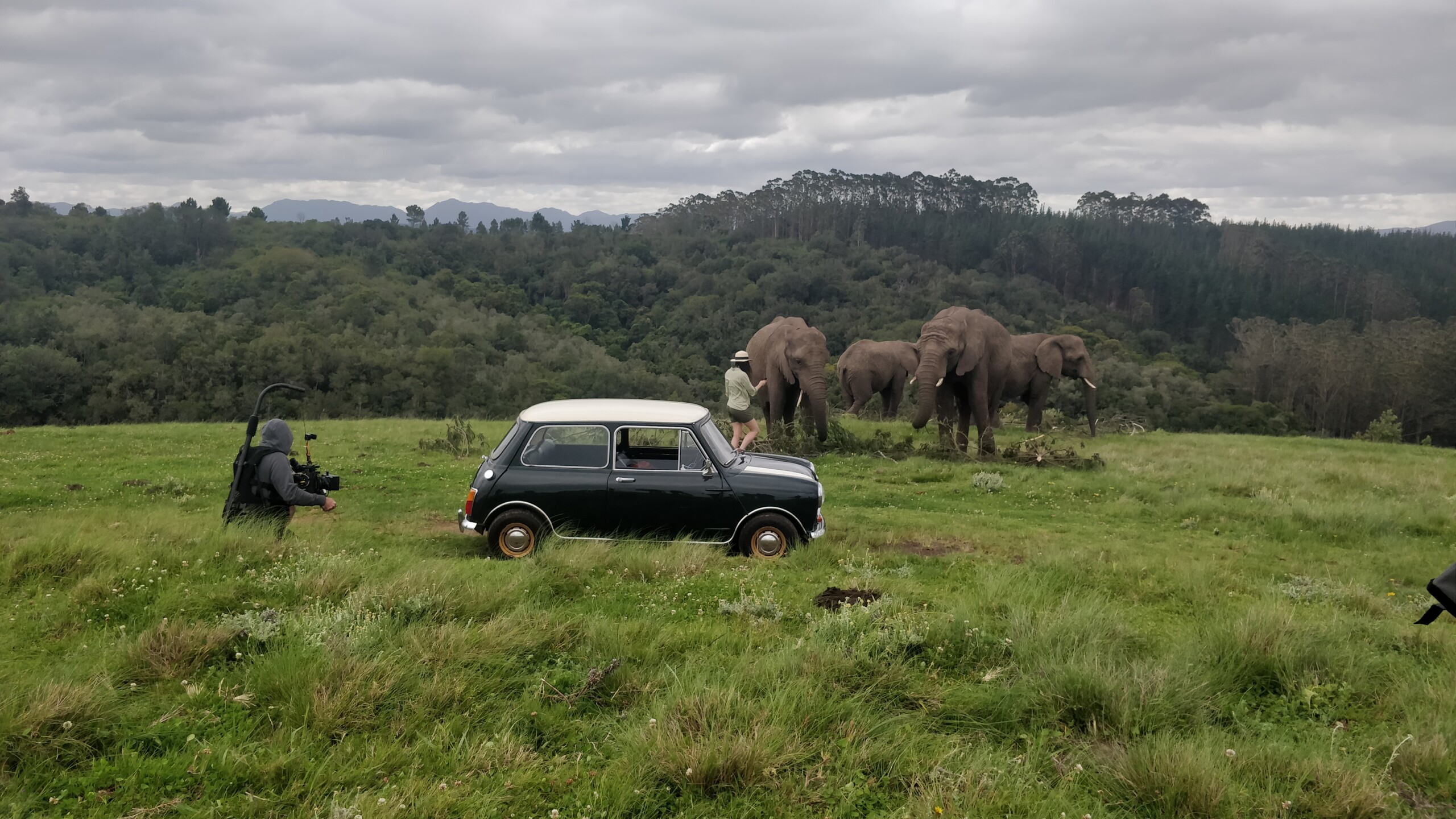 Filming elephants in South African highlands